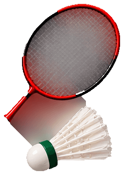 Badminton racket and shuttlecock